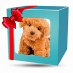 Interactive Robotic Plush Dog | Lifelike Interactive Robot Dog Toy