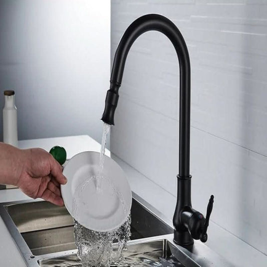 Pull Out Kitchen Faucet Antique Style High Arc Sink Mixer