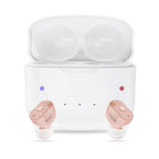 Compact Rechargeable Invisible CIC Hearing Aids – F20D1