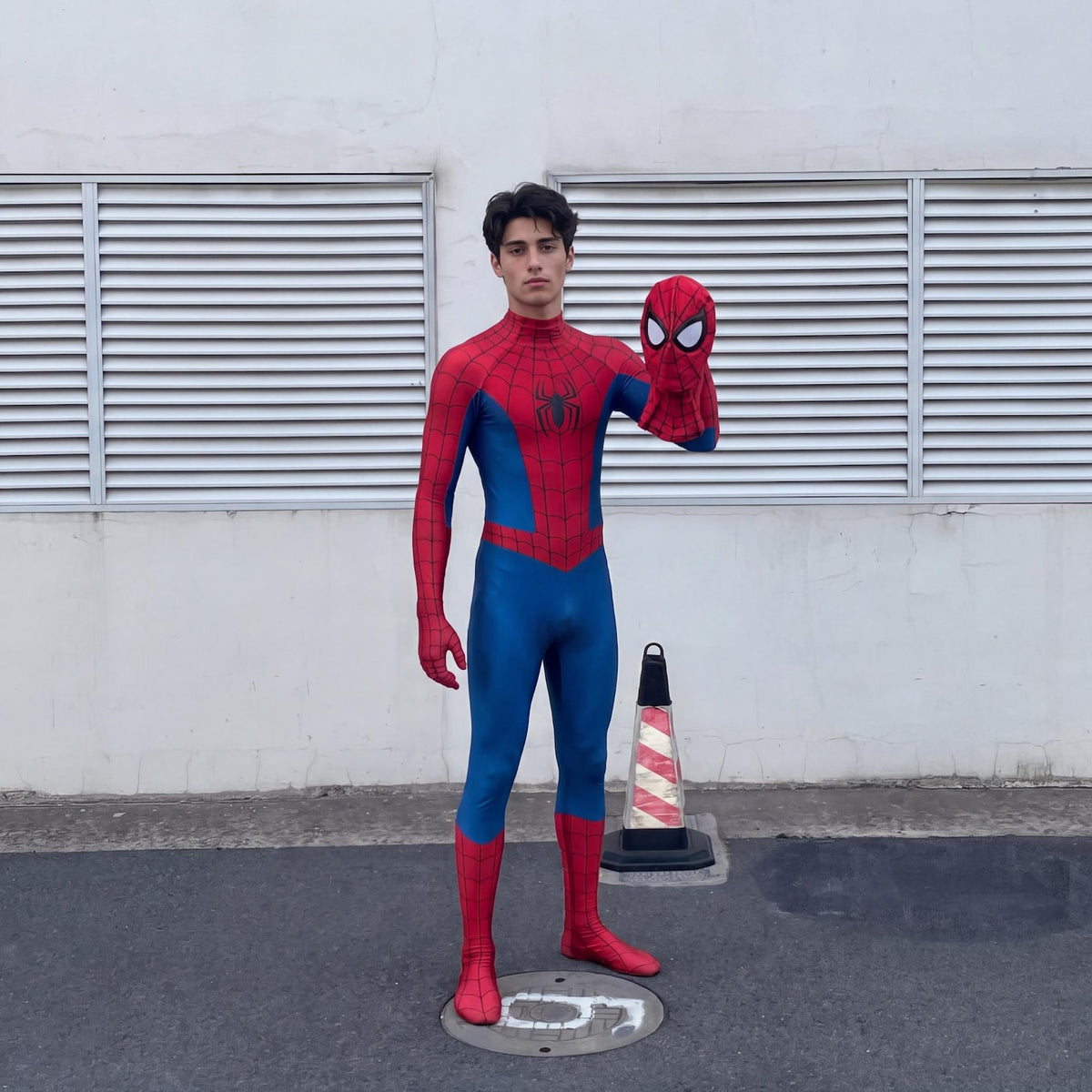 Adult Spiderman Brand New Day Costume