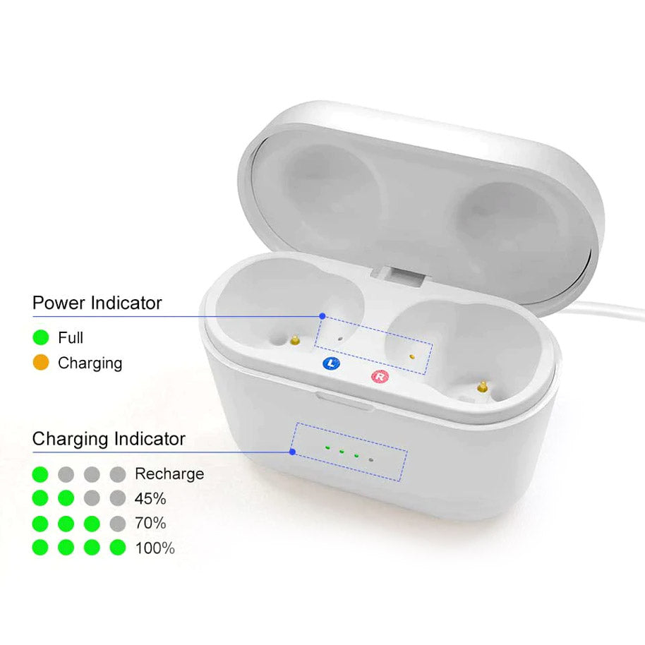 Mini Invisible Rechargeable Hearing aids (V30)