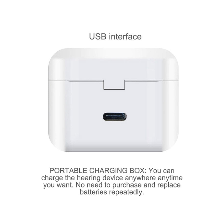 Mini Invisible Rechargeable Hearing aids (V30)