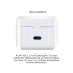 Mini Invisible Rechargeable Hearing aids (V30)